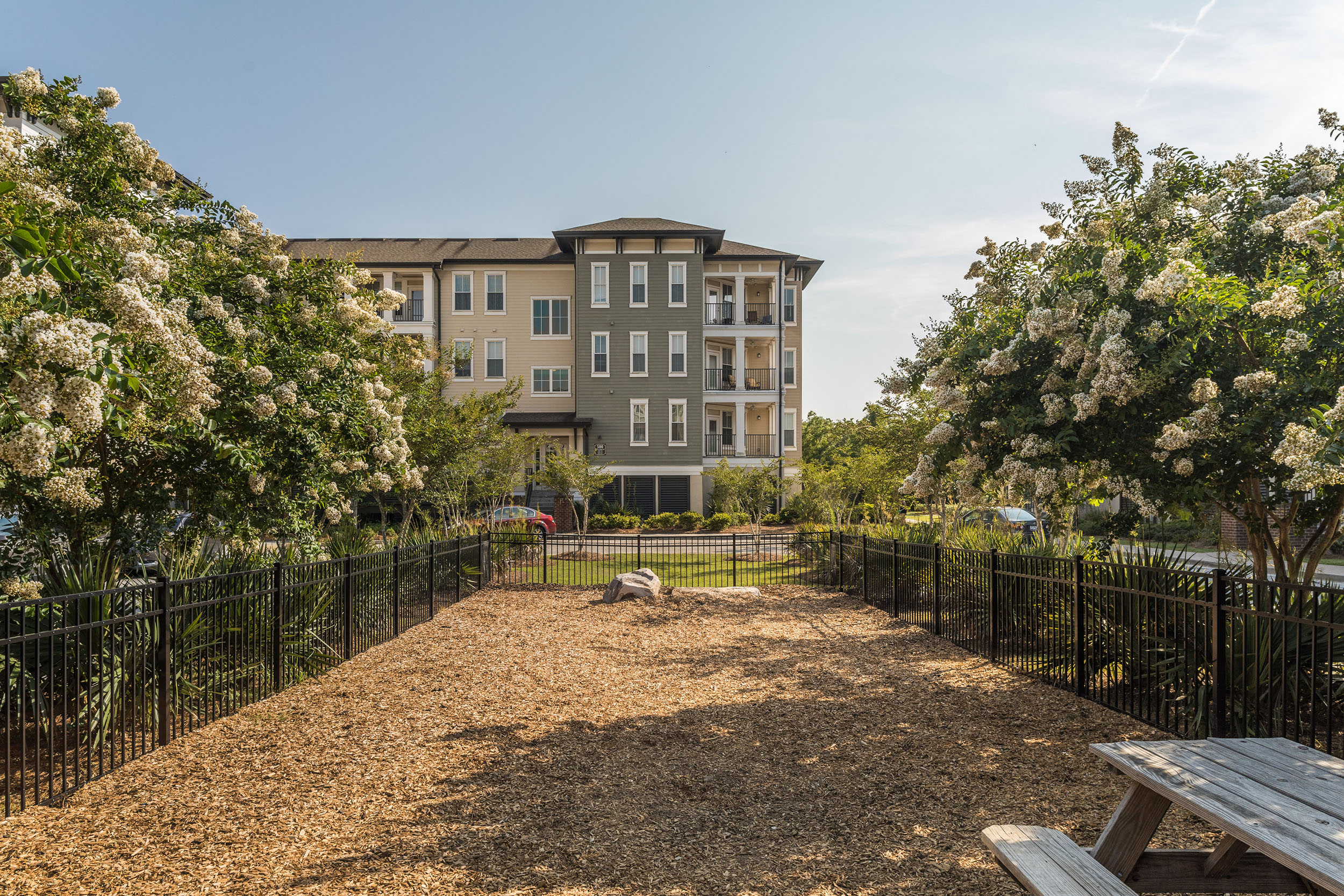 Photos and Video of Talison Row at Daniel Island in Daniel Island, SC